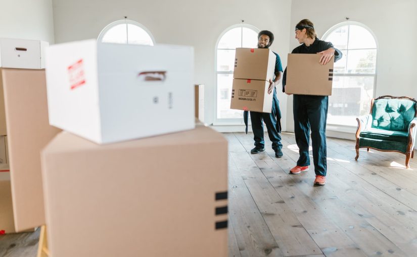 Emotional Support on Moving Day: How Removal Companies Can Help!