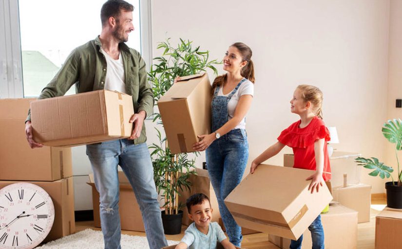 Easy Tips to Settle Your Pets During House Removals in Chatswood